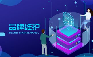 一站式品牌维护,上海昕搜竭诚服务