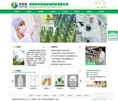 专业深圳网站专职托管维护服务，助力企业高效运营